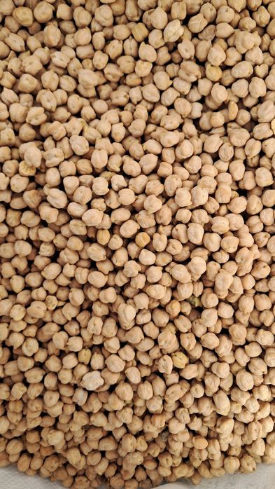 Эрон (Турк) навли нухат сотаман.