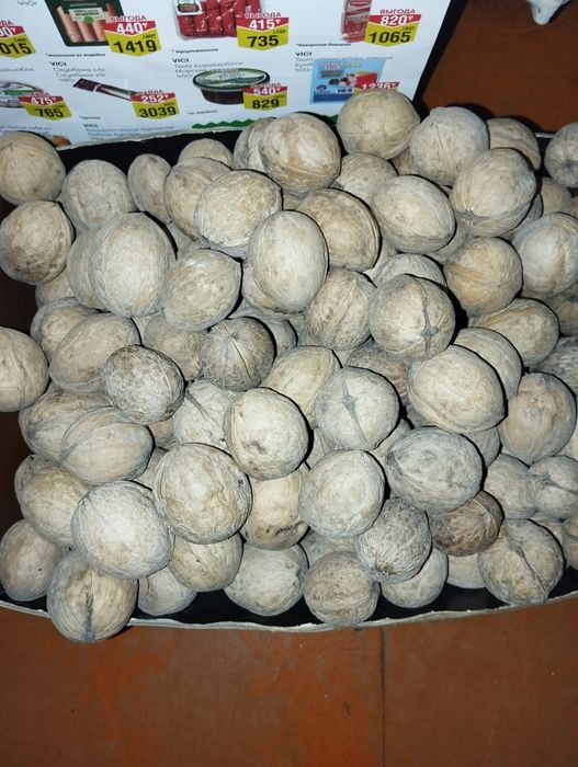 Продам или обменяю орех грецкий