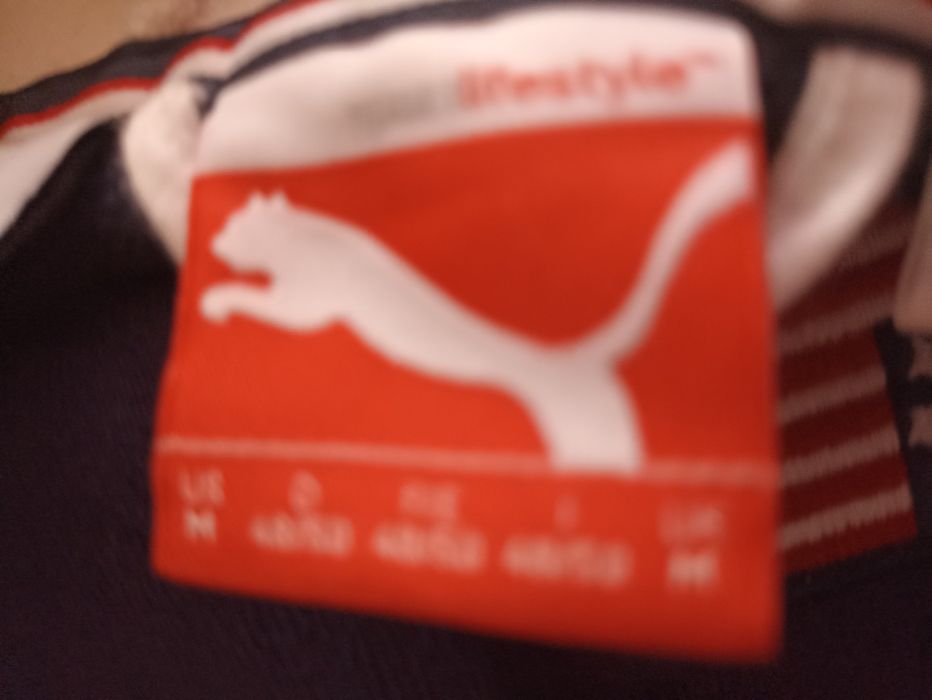 Жилетка на БМВ и пума