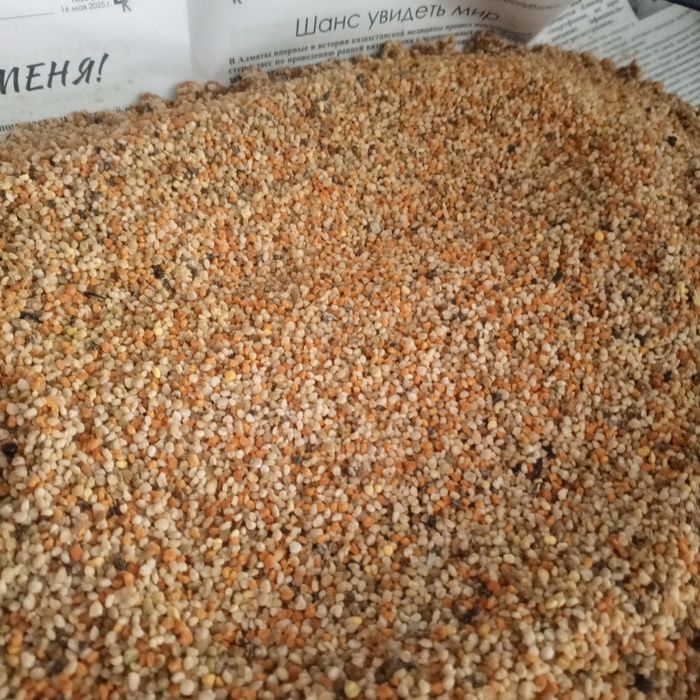 Мёд урожай 2025 года