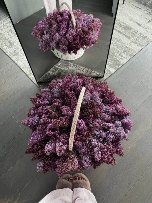 Корзина сирени свежие