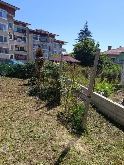 Предлагам косене на трева с бензинова косачка