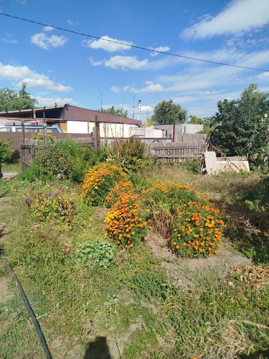 Продам дачу садоводство яблонька