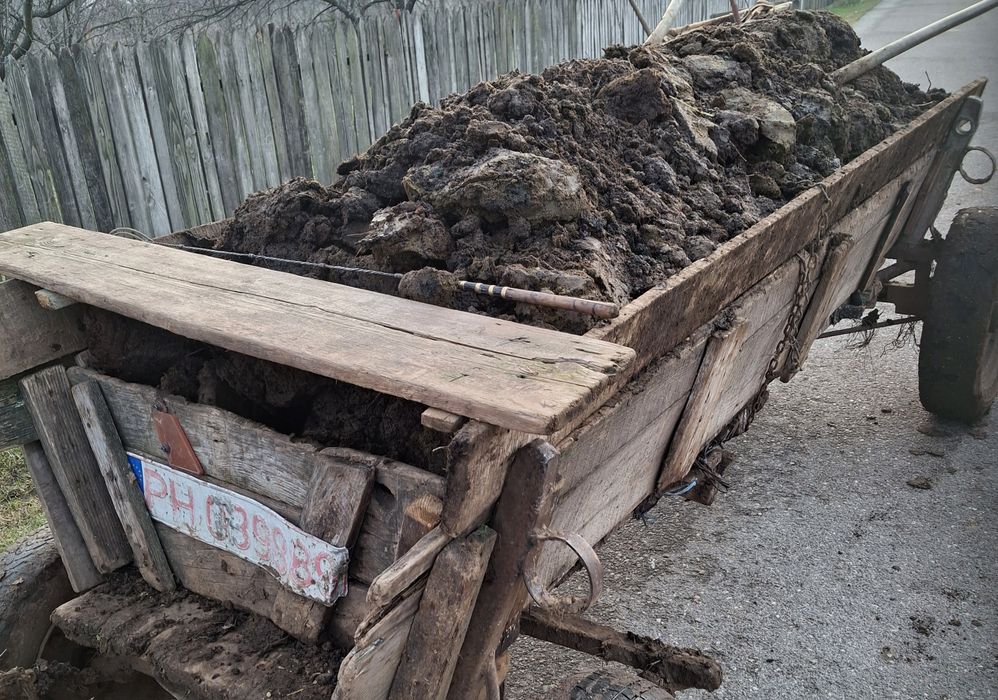 Gunoi de grajd de vita