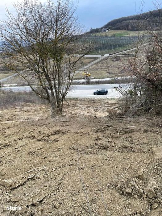 Teren intravilan 1.525 mp – Valea Jelnei, aproape de Bistrita, negoc