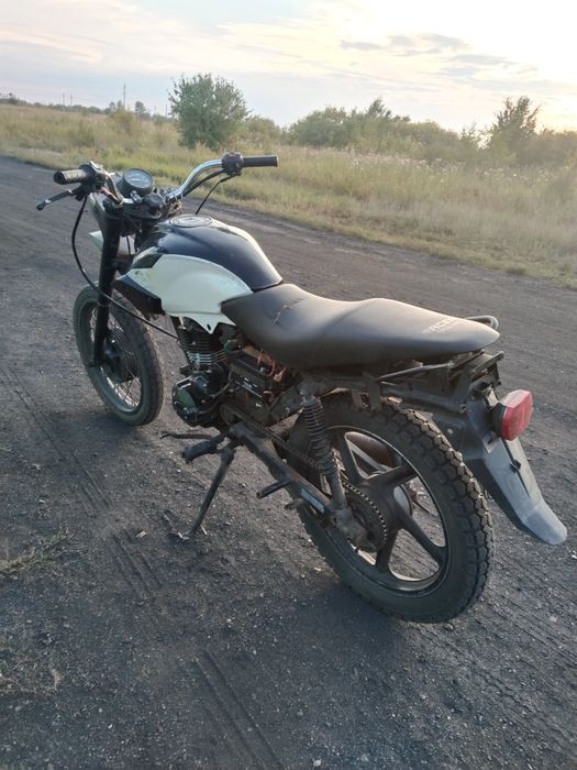 Рейсер тигр 150 кубов