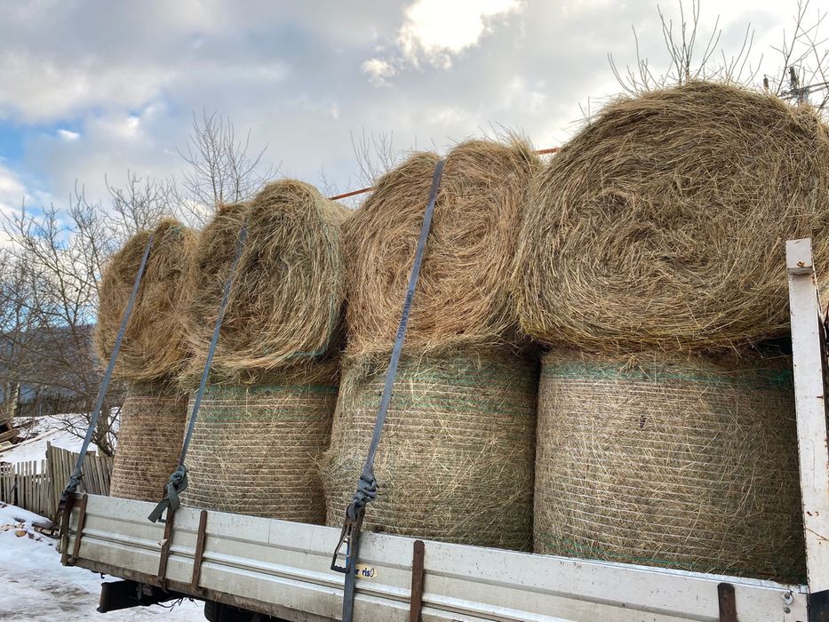 Disponibili baloti de fân