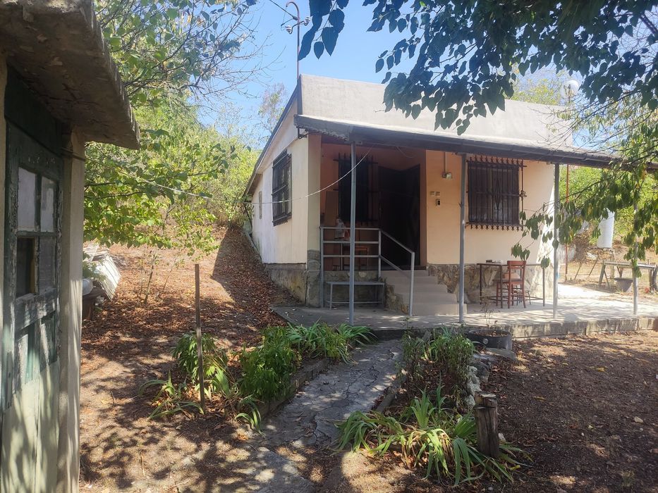 Двор с бунгало. Вилна зона Припека на Звездица Варна