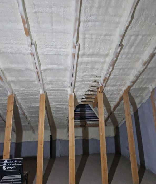 Pena sepish xizmati arzon va sifatli maxsulot