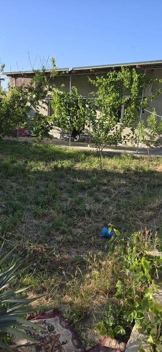 arendaga dacha Sputnik