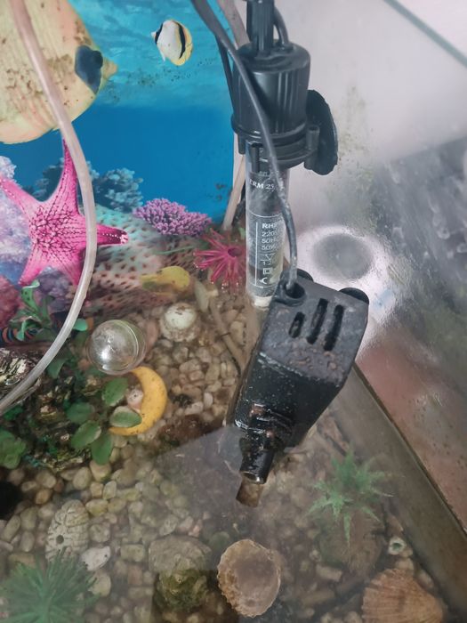 Продавам оборудван аквариум 60литра