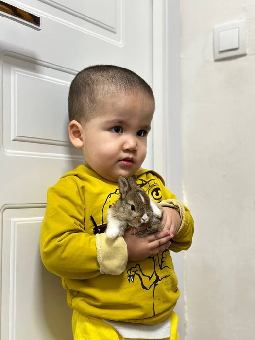 1. "Ideal Uy Hayvoni – Sifatli Karlik Quyonchalari!”

Siz uchun maxsus