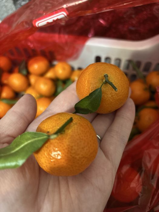 Мандарин Сатанджи