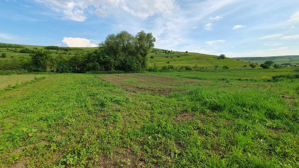 TEREN DE VANZARE ,, Super Oferta ''