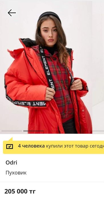 Пуховик зимний Odri.