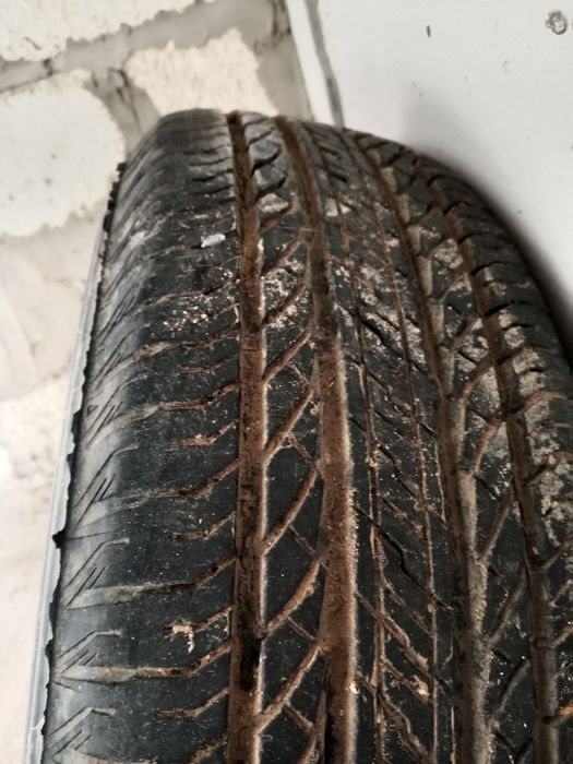 Brigstone Ecopia  летние шины