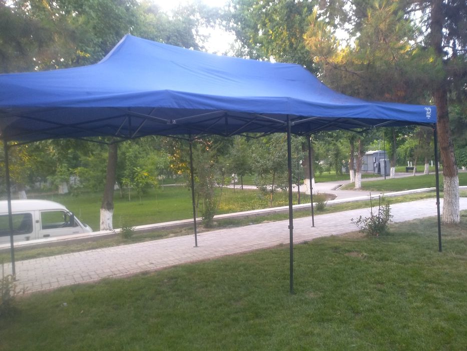 Naves zoʻntik soyabon