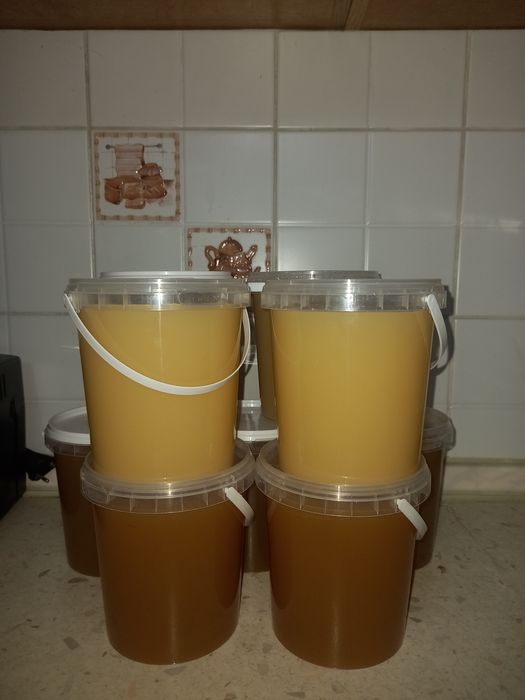 Мёд Усть-каменогорский