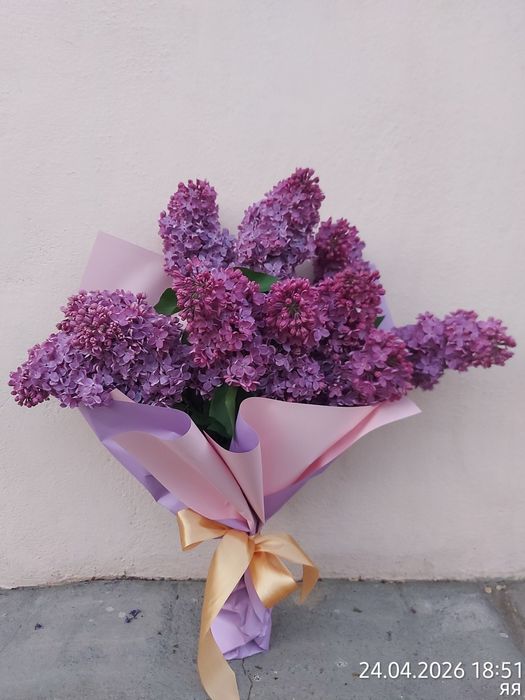 Продам сортовую сирень на срез