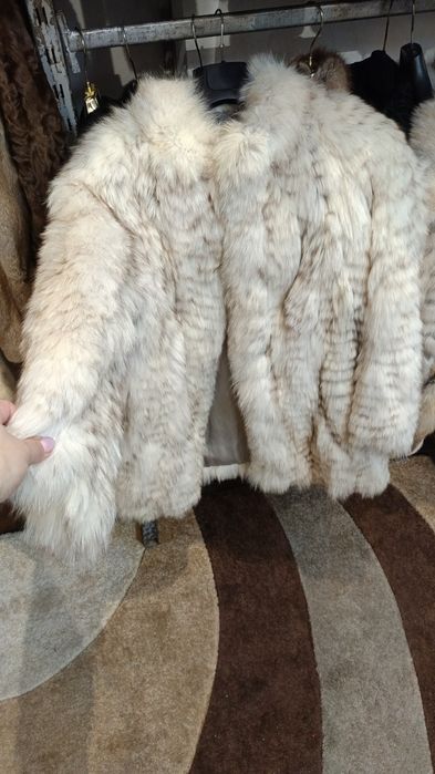 Vulpe polara in stare foarte buna