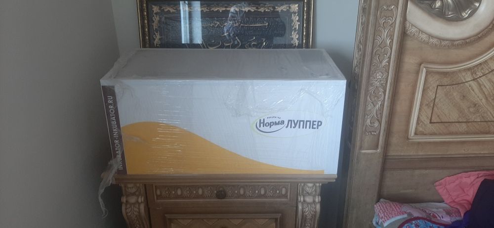 Инкубатор Норма Лупер