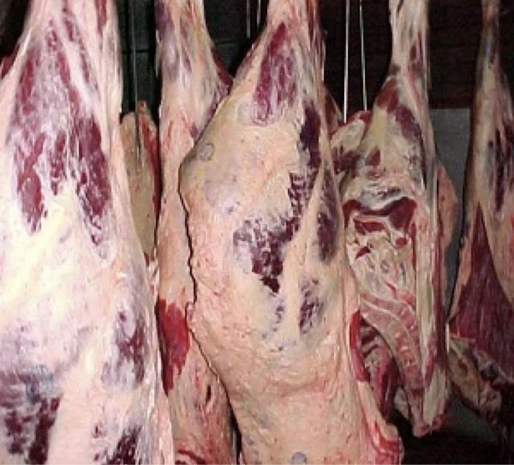 Ляшка говядины фото Ляшка говядины фото