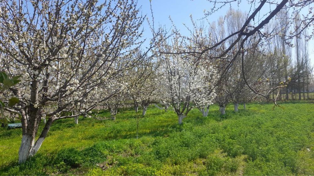 Продается участок 20соток