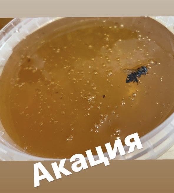 Мёд натуральный , таза бал