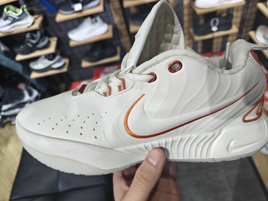 Lebron basketball shoes