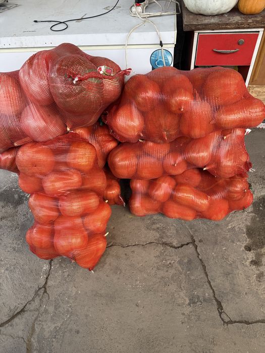 Тыква японка турпанка