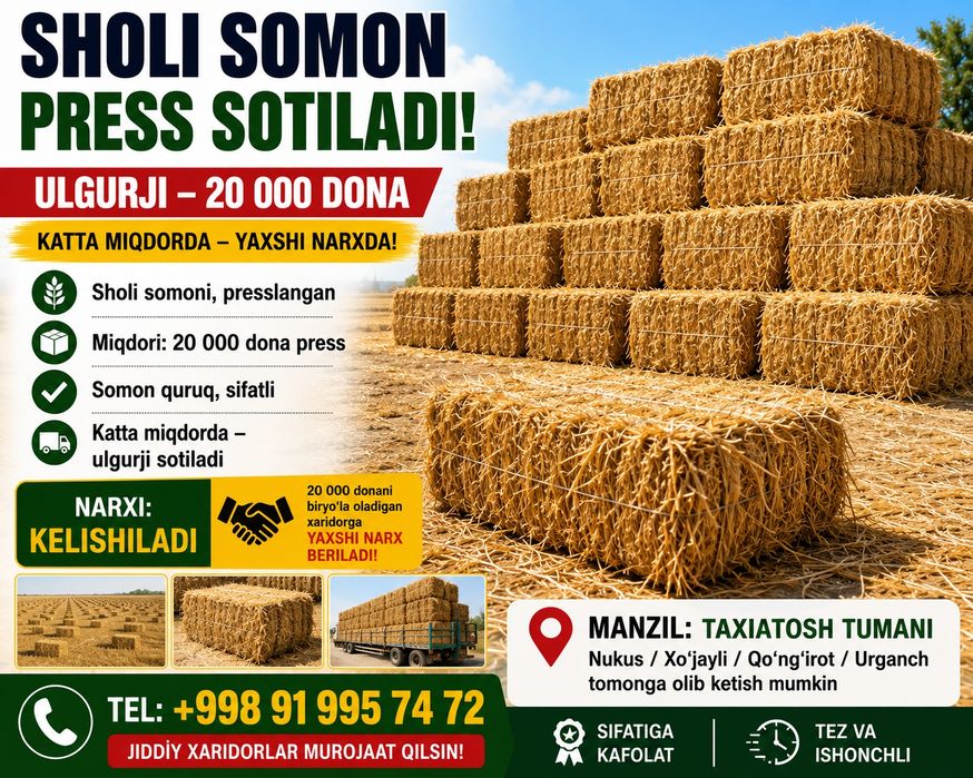 20 000 dona Taxiatosh somon