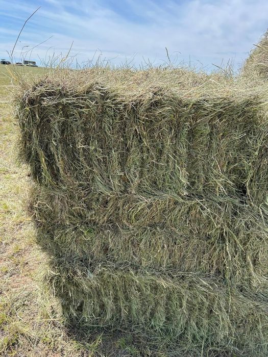 Продам сено тюках