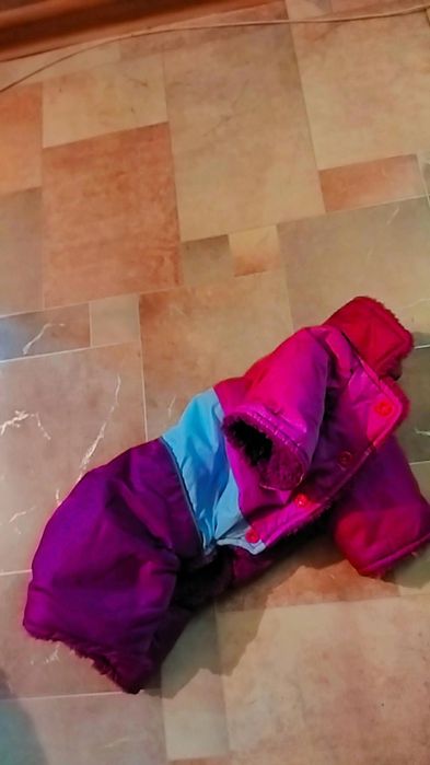 •Одежда для собак мелких пород•