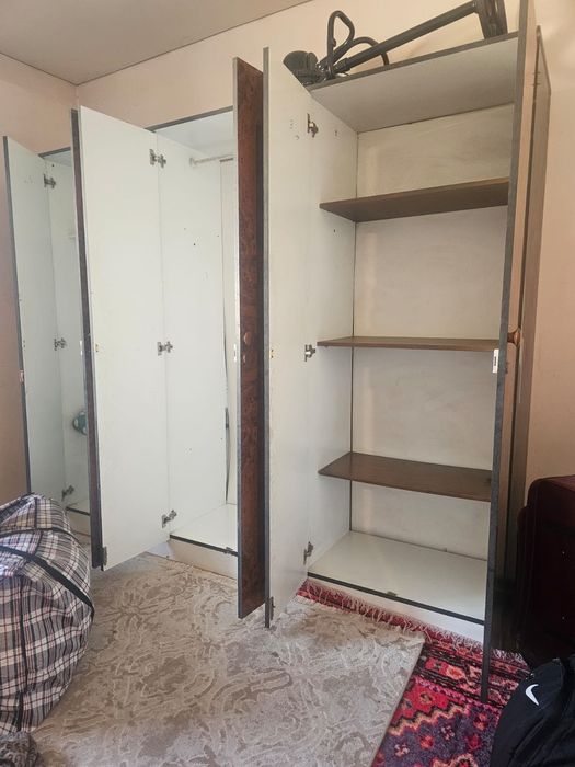 Шифанер жагдайы жақсы