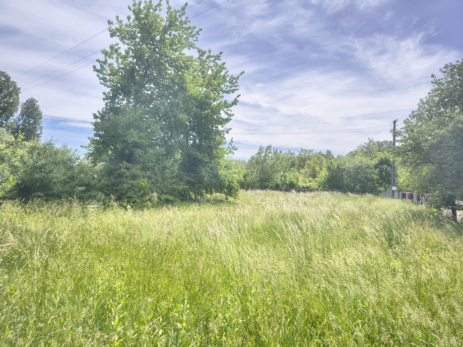 Vând casă bătrânească cu teren în Comuna Arbore, 3762 mp, 600 m constructii, Tomșa Vodă nr. 31