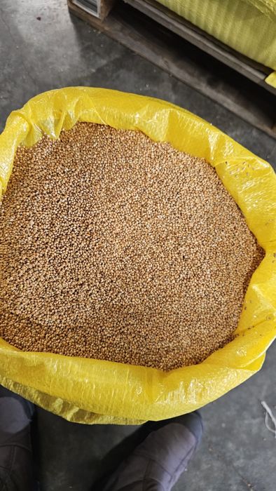 Samanta.   De.   Mei