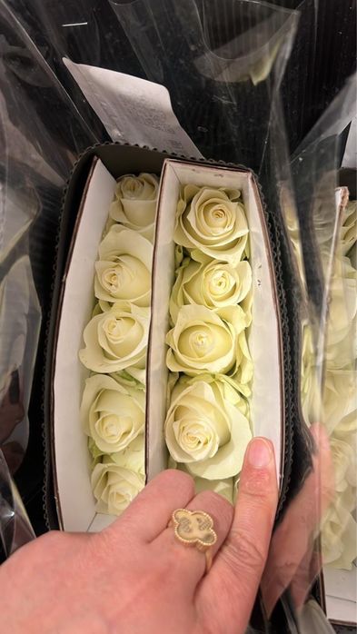 Розы, сирень, пионы все по оптовой цене