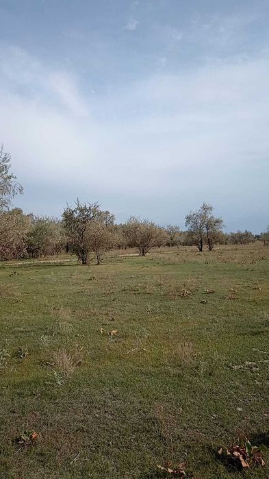 Продам участок в Байсерке
