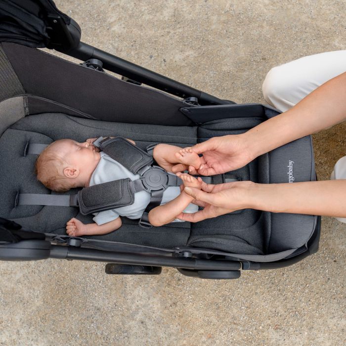 Коляска прогулочная Ergobaby Metro