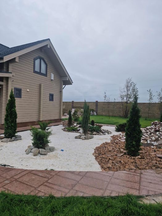 Плодовые культурные изгородь яблоня