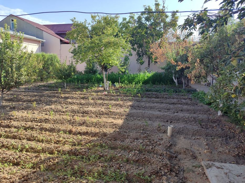 Бектемир тумани. Ийк-Ота 8 сотих.