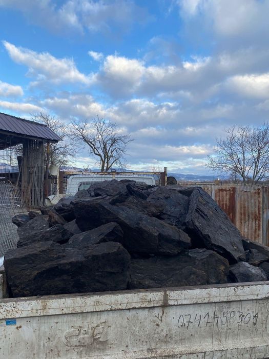 Carbuni lignit calitate superioara