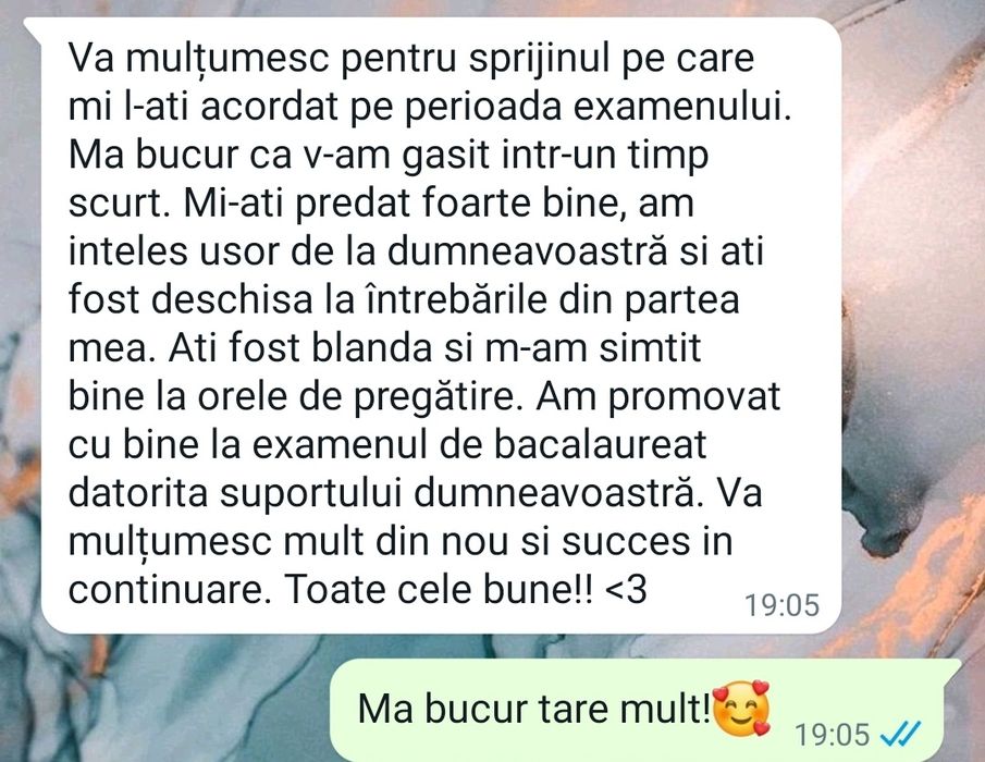 Meditatii BAC de 10 Lb. Romana