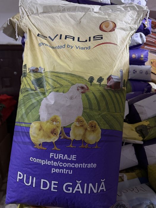 Concentrate Sano si Evialis