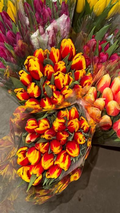 Тюльпаны Розница в упакове с доставкой