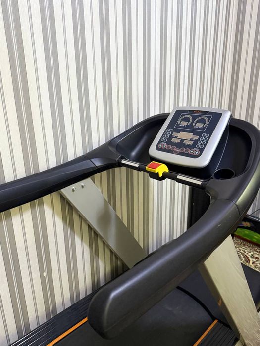 Professional begovoy darojka sotiladi!