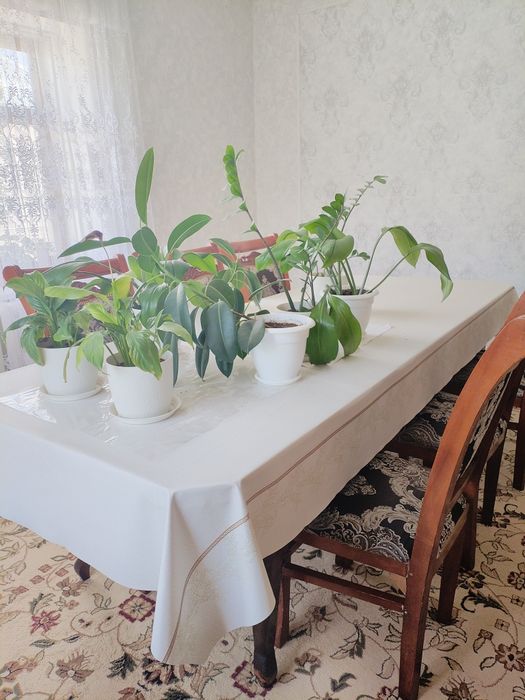 Стол для гостиной