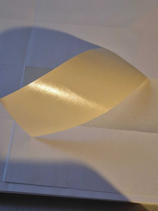 1400 Etichete Autocolante A4, Avery Zweckform, Germania, 100 coli