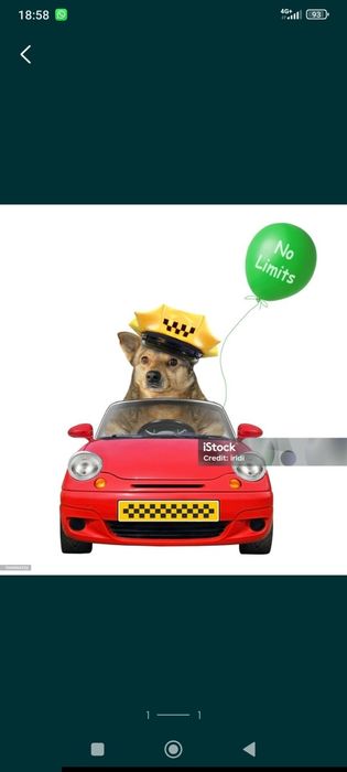 Зоо такси 2000 по городу и за городом