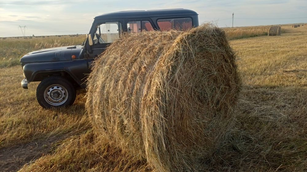 Продам сено  в рулонах